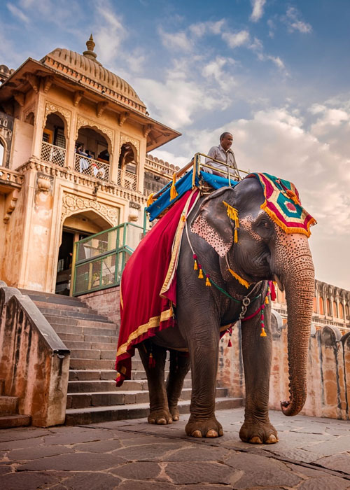 rajasthan b2b